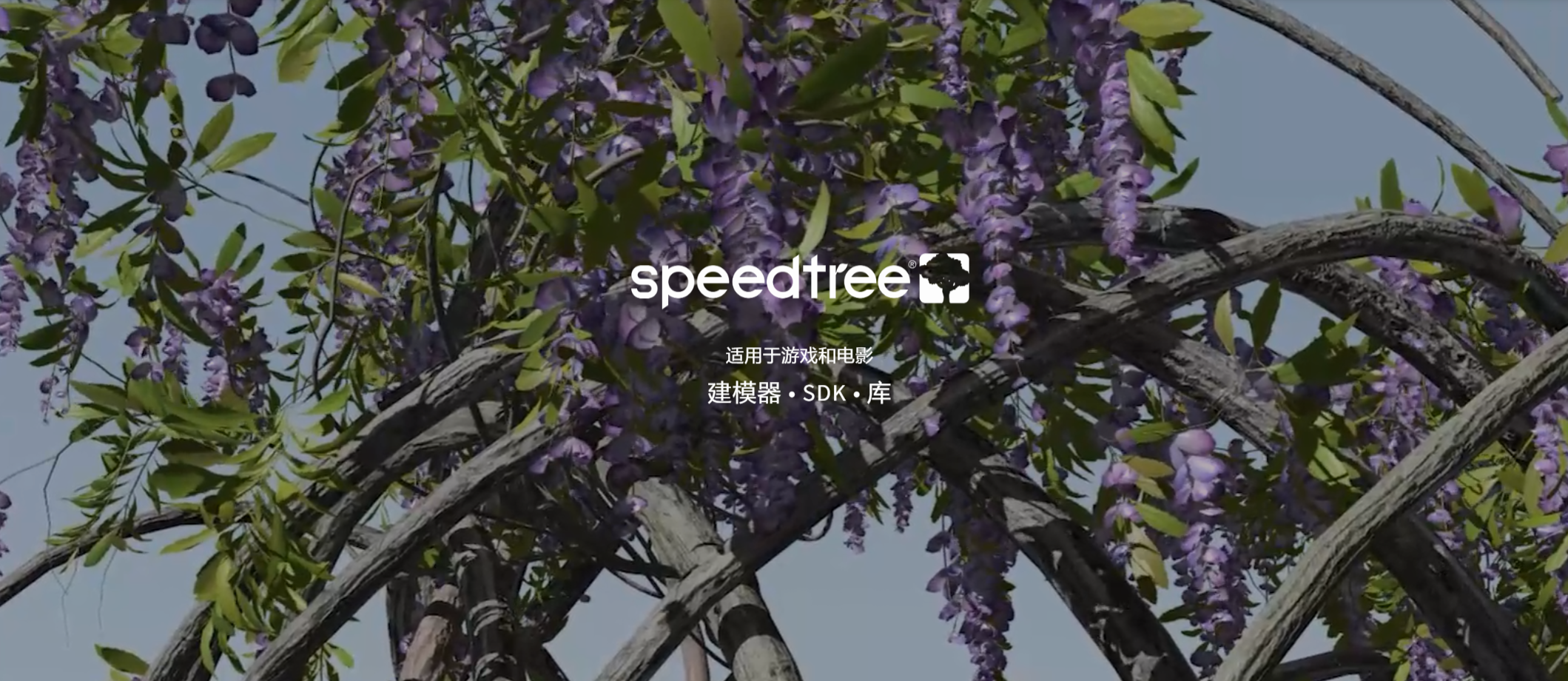 三维植物树木生长建模软件 SpeedTree Modeler V10.0.0+V9.5.2 Cinema + Games Enterprise Win破解版